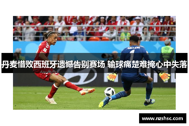 丹麦惜败西班牙遗憾告别赛场 输球痛楚难掩心中失落