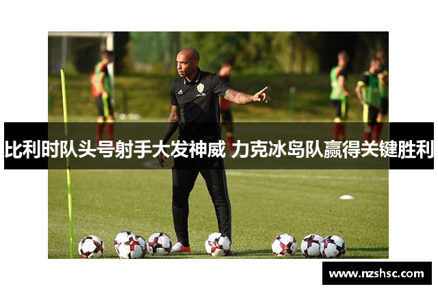 比利时队头号射手大发神威 力克冰岛队赢得关键胜利