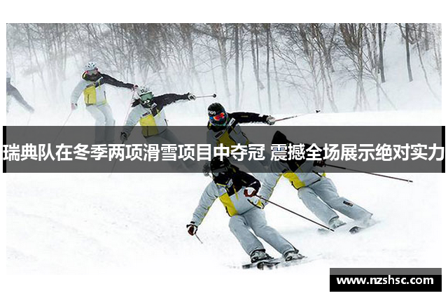 瑞典队在冬季两项滑雪项目中夺冠 震撼全场展示绝对实力