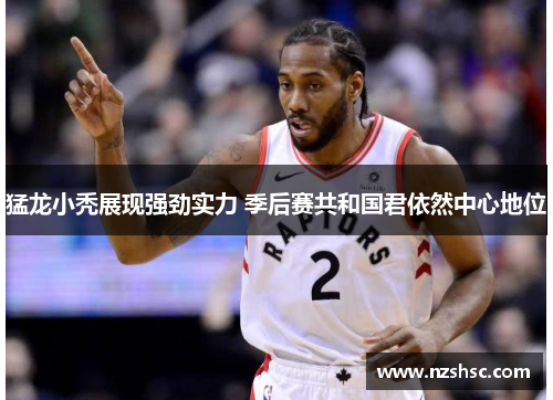 猛龙小秃展现强劲实力 季后赛共和国君依然中心地位