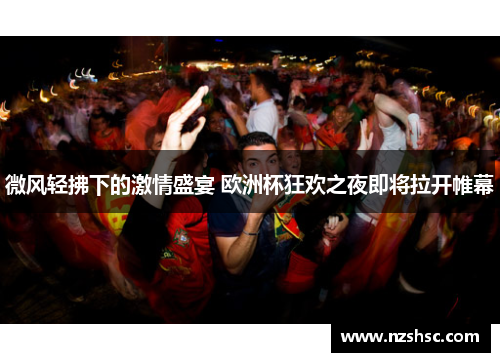 微风轻拂下的激情盛宴 欧洲杯狂欢之夜即将拉开帷幕
